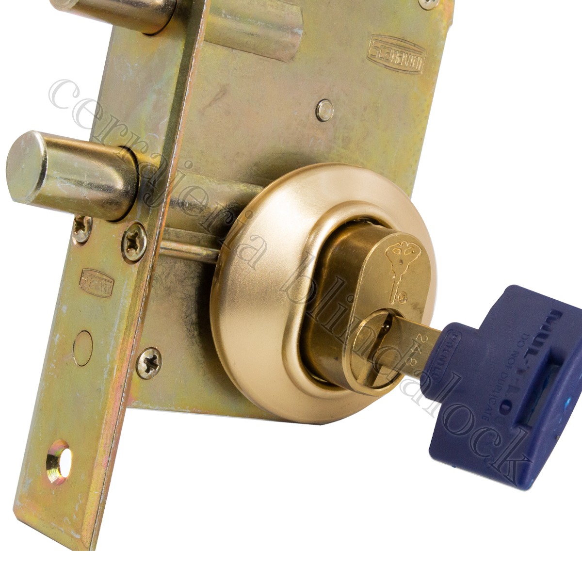 Kit Cerrojo 1070 Mul-T-lock - Imagen 2